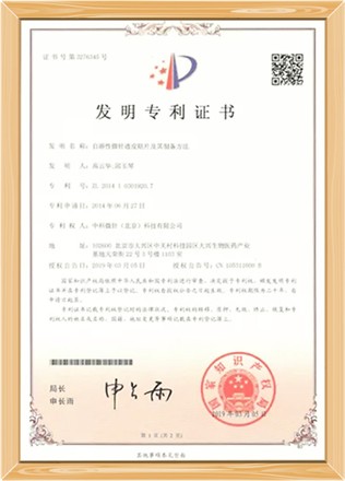 发明专利:可溶性微针贴及其制备方法